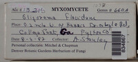 Image Associated With the Occurence
